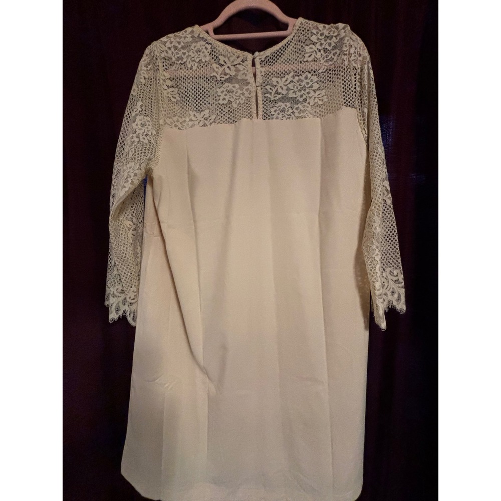 Entro Cream Beige Lace Yoke Long Sleeve Shift Dress D12717 Womens Large NEW - Picture 7 of 13